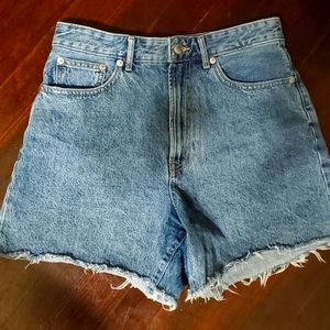 Everlane A Line Shorts